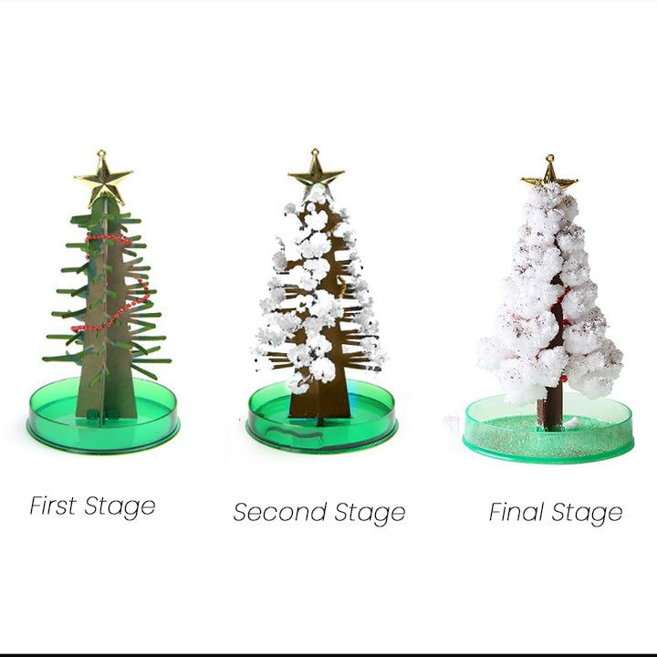 Magic DIY Christmas Tree